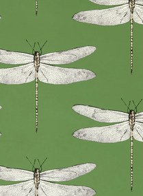 Harlequin Tapete Demoiselle - Kelly/ First Light/ Blush