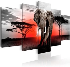 Quadro  Lonely Elephant  Colore Nero, Dimensioni e Misure 200x100