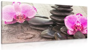 Quadro su tela – Orchidea e pietre Zen su sfondo in legno