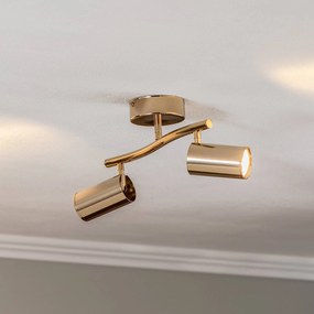 Lucea Faretto soffitto Spotte, oro, 2 luci