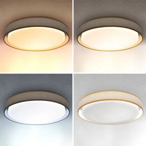 Brilagi - Lampada da soffitto dimmerabile KIANIA LED/48W/230V 3000-6500K + DO