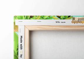 Quadro su tela – Animali adorabili