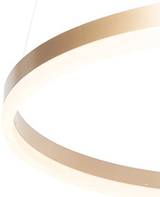 Lampada a sospensione di design oro 60 cm incl. LED dimmerabile a 3 livelli - Anello
