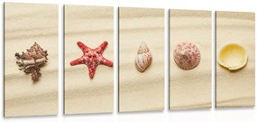 Quadri 5 pezzi – Conchiglie sulla spiaggia sabbiosa