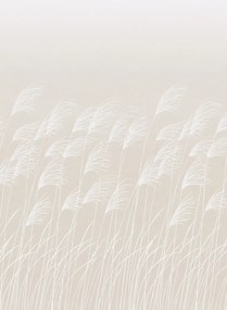 Harlequin Carta da parati panoramica Miscanthus - Parchment/ Frost