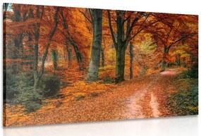 Stampa su tela – Foresta in autunno