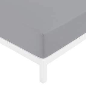 Lenzuolo con angoli matrimoniale grigio Datex