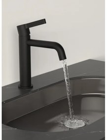 Sapho - Rubinetto del lavandino ICONIC 18,7 cm opaco nero