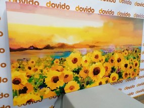 Stampa su tela – Campo di girasoli