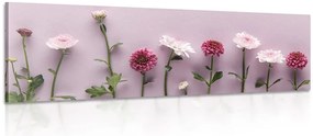 Stampa su tela – Composizione di crisantemi rosa