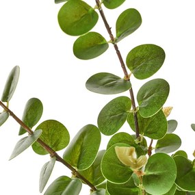 Eucalipto artificiale - Casa Selección