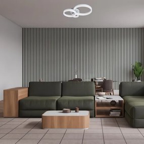 Rabalux 71382 - Plafoniera LED dimmerabile ELLINOR LED/40W/230V 3000-6500K + telecomando