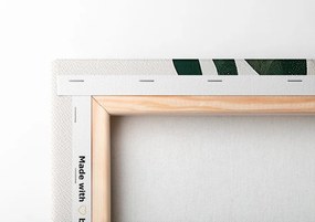 Quadro su tela – Parte delle piantine boho