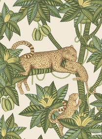 Cole & Son Carta da parati Satara - 119/3015