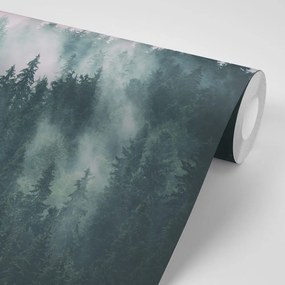 Carta da parati – Foresta nella nebbia
