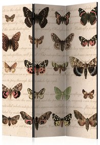 Paravento separè Stile Retrò: Farfalle - farfalle colorate su carta antica