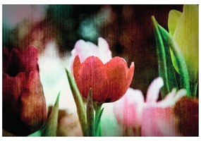 Carta da parati – Prato di tulipani in stile retrò
