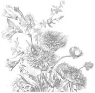 KEK Amsterdam Carta da parati panoramica Engraved Flowers 2 - L