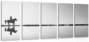Quadri 5 pezzi – Cavaliere a cavallo in bianco e nero