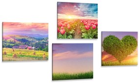 Set di quadri – Natura in colori pastello
