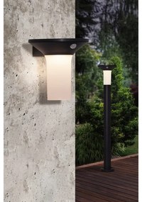 Eglo 900244 - Lampada solare da esterno a LED con sensore 6xLED/0,03W/3,7V IP44