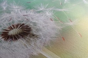 Stampa su tela – Soffione magico