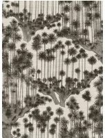 Cole & Son Carta da parati Japanese Woods - Grasscloth -Charcoal