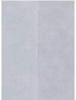 Tapete Manarola Stripe von Osborne & Little - Silver Grey