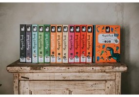 Janod - Gioco magnetico interattivo MAGNETIBOOK animali