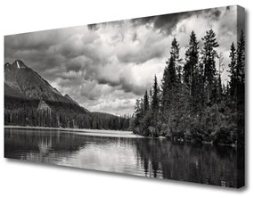 Quadro su tela Lago di foresta naturale 100x50 cm