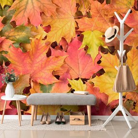 Carta da parati – Foglie d'autunno