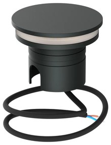 Faro LED interrato da Giardino 6W IP67 24V Luce Radente 360°- Antracite Colore Bianco Caldo 3.000K