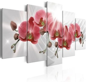 Quadro  Abstract Garden: Red Orchis  Colore Rosso, Dimensioni e Misure 100x50