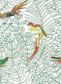 Nobilis Carta da parati Amazone - COS141