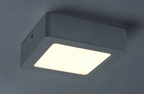 Rabalux 3174 - Plafoniera LED SHAUN LED/12W/230V 14,5 cm