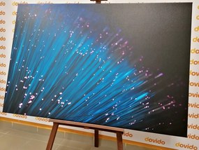 Quadro su tela – Fibra ottica