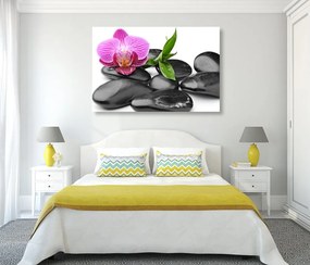 Quadro su tela – Pietre per il benessere massaggio