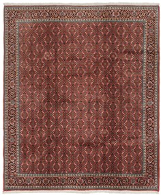 Bidjar Tappeto 250x210 (Iran) Annodato A Mano