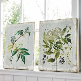 LOBERON Coppia di quadretti decorativi Loanne