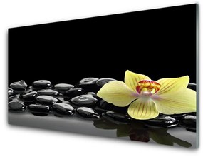 Quadro di vetro Fiore da cucina nero 100x50 cm