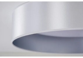 Duolla - Plafoniera LED ROLLER LED/24W/230V diametro 45 cm argento