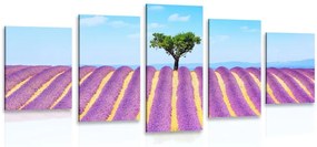 Quadri 5 pezzi – Campo di lavanda provenzale