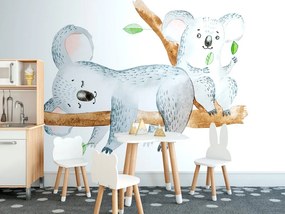 Carta da parati – Koala carini