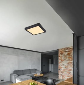 Globo 12374-24 - Plafoniera LED DINO LED/22W/230V