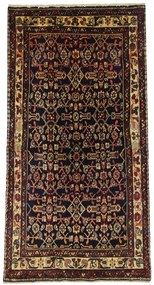 Hamedan Tappeto 120x230 (Iran)