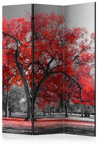 Paravento separè Autunno nel parco - paesaggio in bianco e nero con foglie rosse