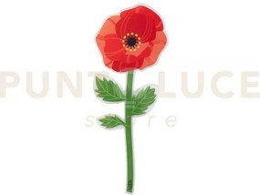 Papaverospecial moments collection, fiore in plexiglass