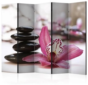 Paravento Relaxation and Wellness II [Room Dividers]