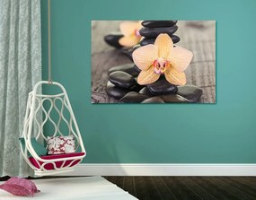 Quadro su tela – Orchidea gialla e pietre Zen