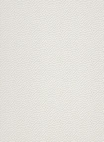 Paint & Paper Library Carta da parati Seedpod - Salt